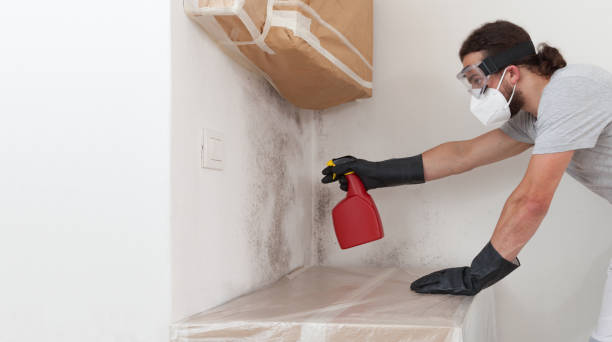 Professional Mold Testing technician working in Flanders, NY