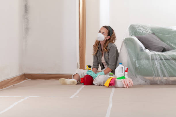 Reliable Mold Cleanup contractor in Flanders, NY by Cheap Mold Removal